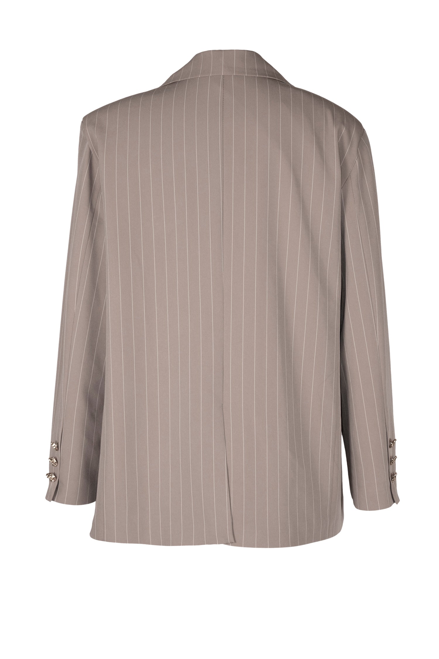 Blazer ROBERTA Taupe Gessato
