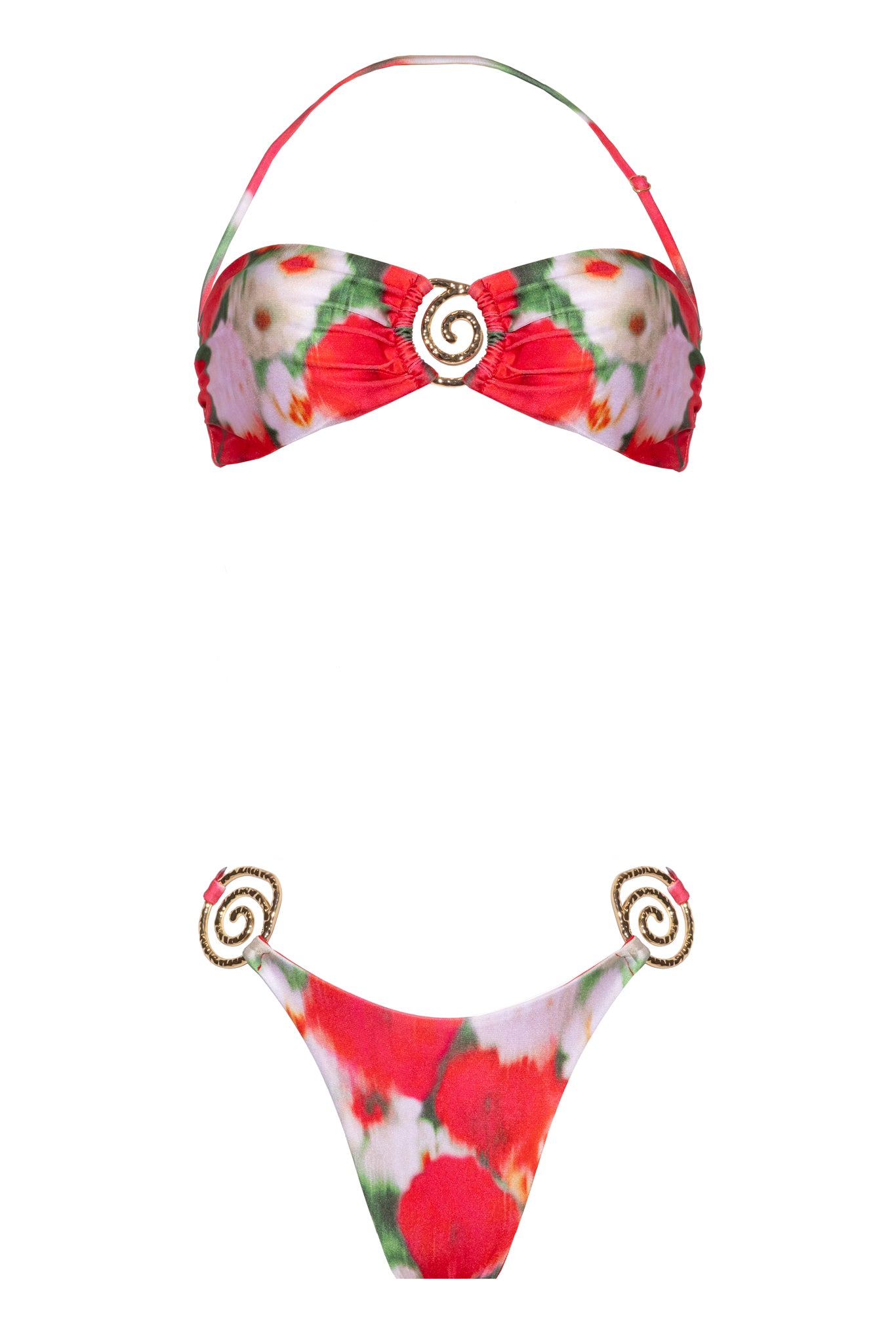 BRASILIANA CLIVIA Botanic